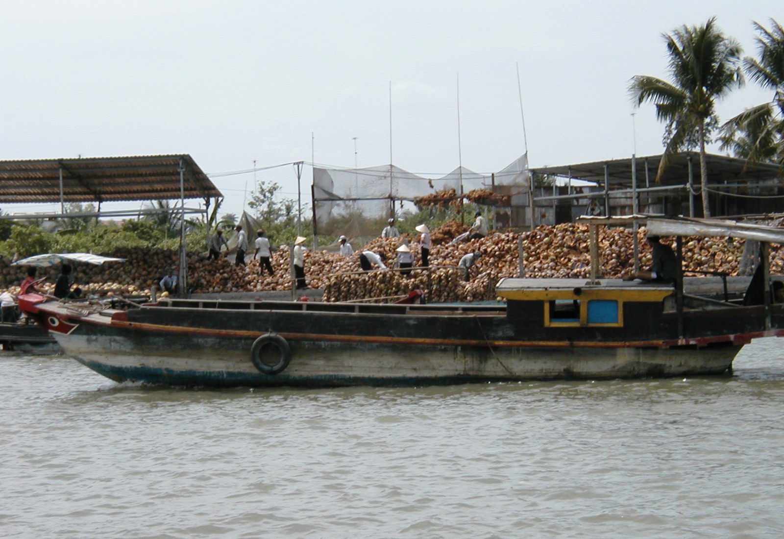Coconut peel in Ben Tre, Vietnam